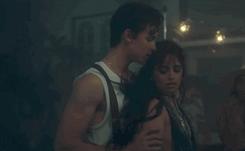 Shawn Mendes Camila Cabello Making Out