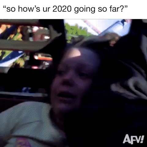 giph of girl on a roller coaster with scared face asking how is your 202 going