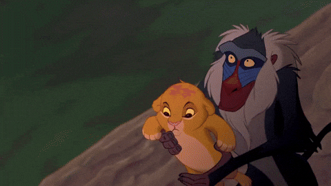 [Image: giphy.gif?cid=790b7611013f7cad5d7697550e...y.gif&ct=g]