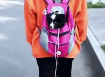 Backpack Pet Carrier – Goodneus