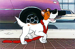 Oliver And Company GIF