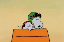 Snoopy Charlie Brown GIF by Peanuts - Find & Share on GIPHY