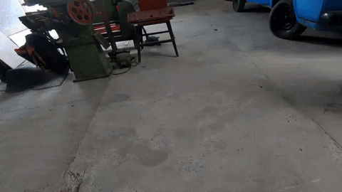 giphy.gif