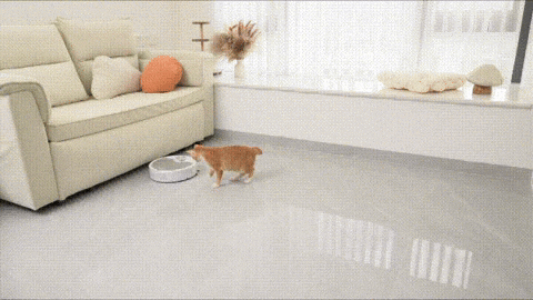 RoboVac X - A Smart Choice for Pet Owners