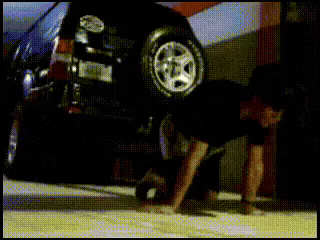 giphy.gif