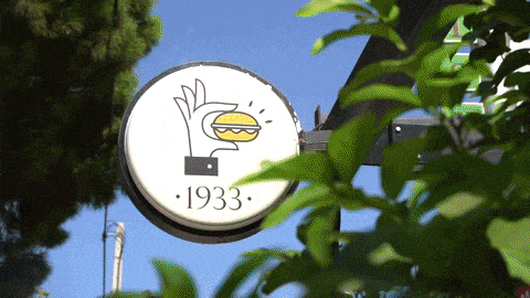 giphy downsized large.gif?cid=790b761168b494085fc3540ed4a3fb74a750b9f33de508c6&rid=giphy downsized large Το ιστορικό 1933 Μπέργκερ