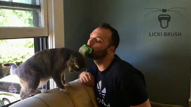 giphy-downsized-large.gif