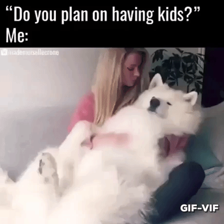 Dog Is Love Dog Is Life in funny gifs