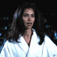 roselyn sanchez rush hour 2 roselyn sanchez rush hour 2