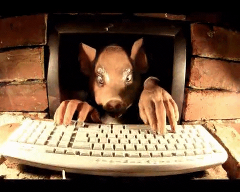 Angry Typing GIF by David Firth - Find & Share on GIPHY