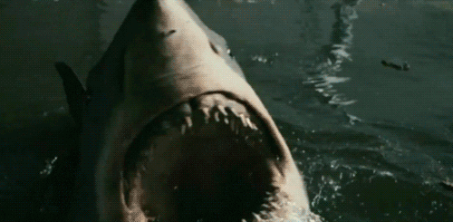 jaws shark biting quint pop