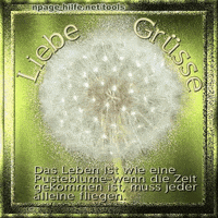 Download Wenn die zeit gekommen ist Free HD