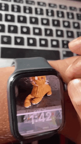 35 Useful Apple Watch Tips and Tricks You Should Know