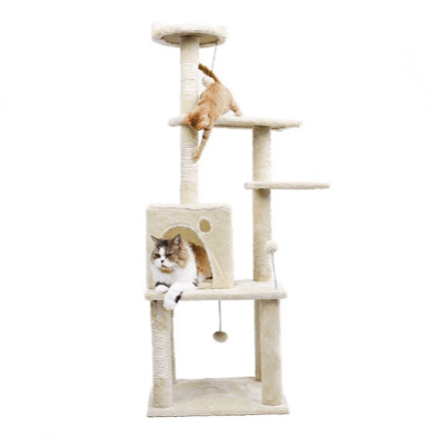 good quality cat tree