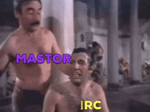 giphy.gif