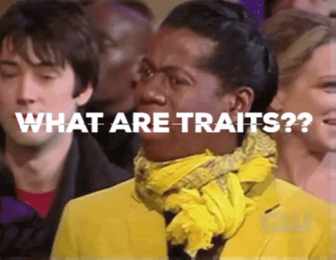What are traits?