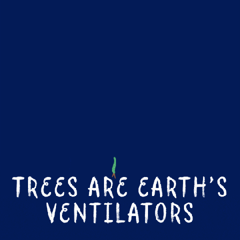trees are the earth ventilators gif 