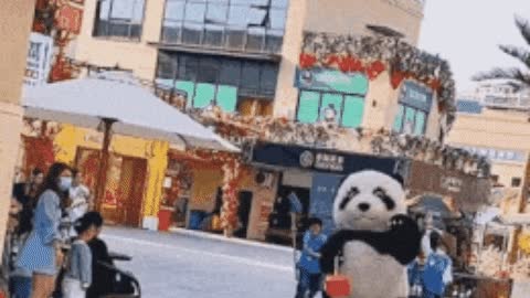Cutest panda ever gif