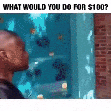 What would you do for 100 dollars in funny gifs