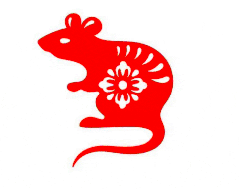 Animated GIF - Find & Share on GIPHY