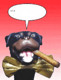 200w.gif