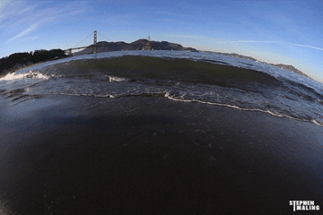 puppy socials san francisco san francisco gif find on giphy puppy socials san francisco san francisco gif find on giphy
