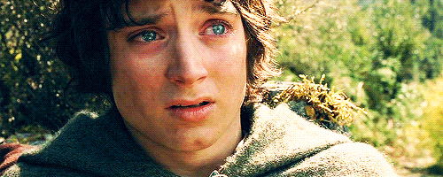 Image result for frodo gif
