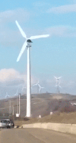 ENTITY reports on renewable energy