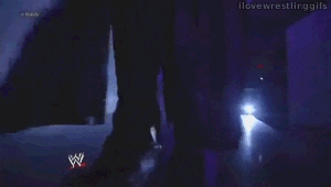 WrestleMania X Anniversary: Night of SimulacionWWE Giphy