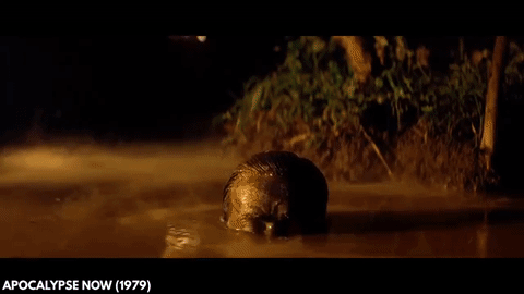 Apocalypse Now GIF - Find & Share on GIPHY