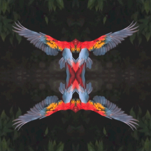 New Age Art GIF Find & Share on GIPHY