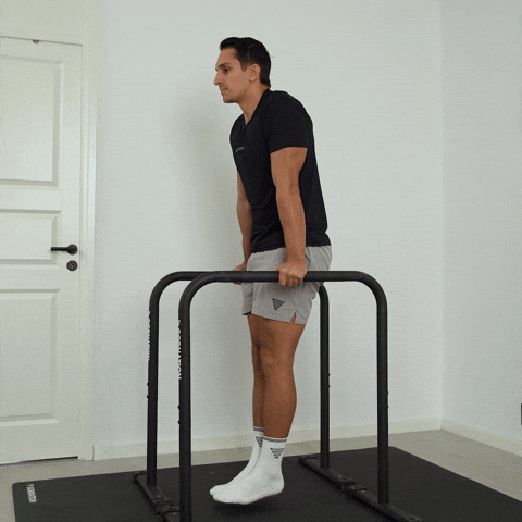 dip bar knee raises exercise demonstration