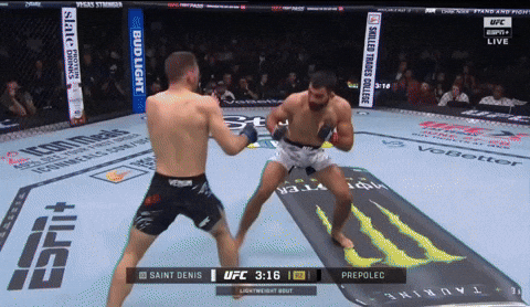 giphy.gif