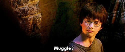 Harry Potter Wizard GIF - Find & Share on GIPHY