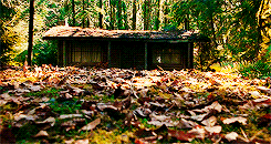 Cabin in the Woods gif