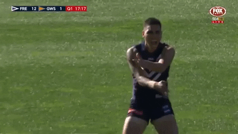 Afl Dockers GIF