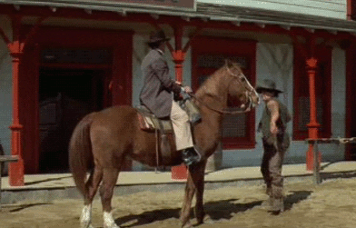 Blazing Saddles Horse Punch GIF - Find & Share on GIPHY