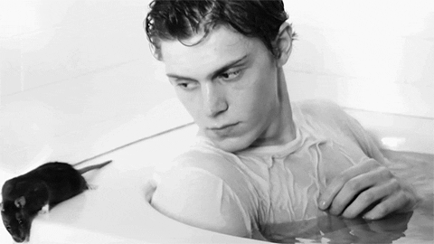 Evan Peters GIF - Find & Share on GIPHY