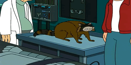 https://media.giphy.com/media/MTO9HS1bRZ0rK/giphy.gif
