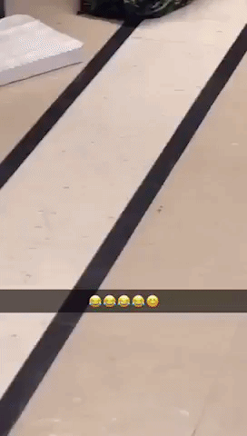 Girl Vs Insect in funny gifs
