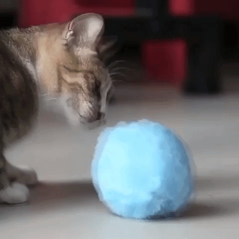 PETOY™ : Magic Pet Roller Ball Toy – Affinity Cart