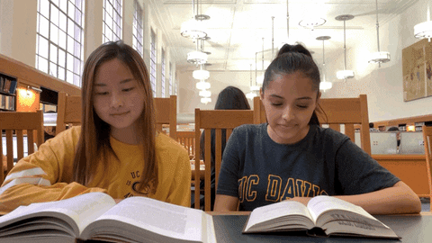 Two girls studying together look up from their textbooks and give each other a high five.