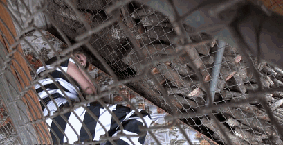 My Taboo » Taylor – Rual Prison Camp 1 & 2 HD