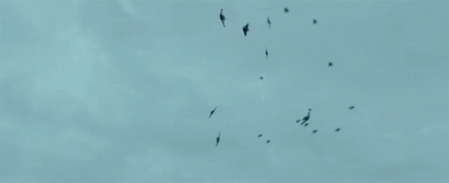 Angel Has Fallen