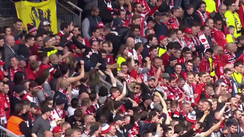 France Football GIF by Ligue 1 Conforama