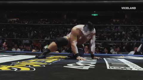 Professional Wrestling Japan GIF by THE WRESTLERS