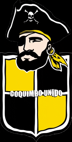 Aurinegro Ahp GIF by coquimbounido - Find & Share on GIPHY