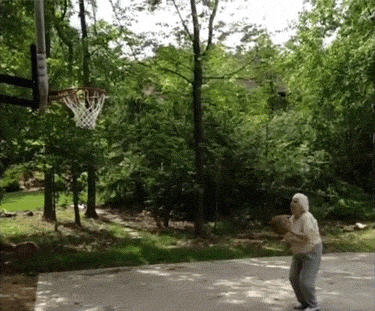 giphy.gif