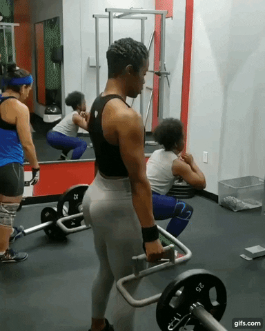 giphy.gif