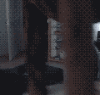 giphy.gif